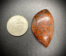 Load image into Gallery viewer, Orbicular Jasper with Hematite
