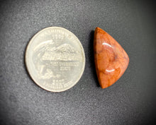 Load image into Gallery viewer, Orange Jasper from Washington
