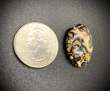 Load image into Gallery viewer, Leopard Skin Jasper
