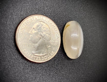 Load image into Gallery viewer, Oregon Grey Agate
