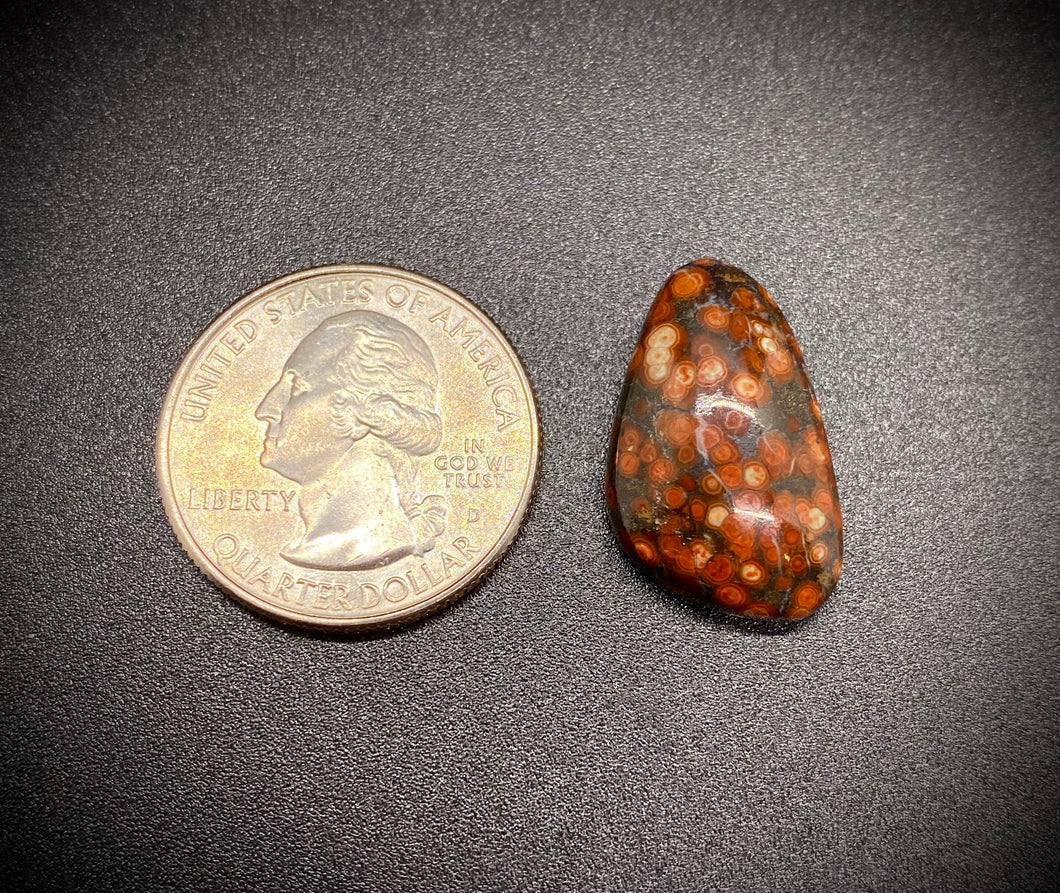 Orbicular Jasper with Hematite