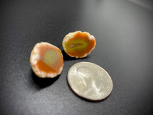 Load image into Gallery viewer, Australian Agate Nodule Pair
